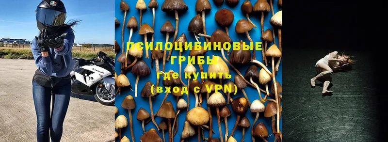 Псилоцибиновые грибы Magic Shrooms  Вельск 